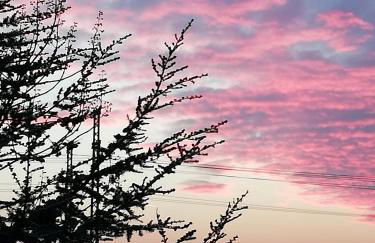 Ferienwohnung Müller - Photo 19