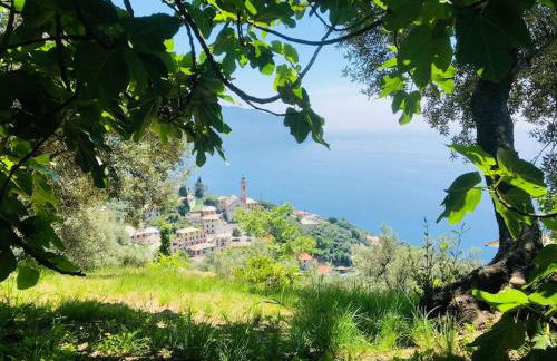 Sea South front property1/2acre.Gardens pool hydro - Foto 20