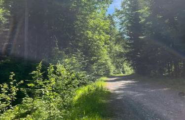 Chata pod lasem z balią i sauną - Foto 39