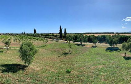 Resort Fonte Vulci - Foto 75