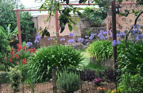 Finca El Vergel Rural - Photo 10