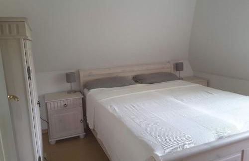 Seepferdchen - Foto 11