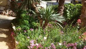 Apartments Barbara - Foto 4, Garden