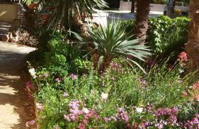 Apartments Barbara - Foto 4