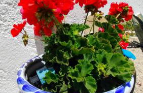 Villa La Musica - Foto 24