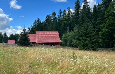 Okno na las - Foto 32