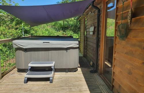 Swn Y Nant Lodge with hot tub Brecon - Foto 23