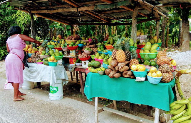 Excursão ao lago de Péligre e Bassin Zim - Foto 2