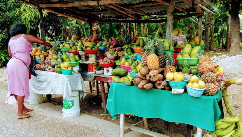 Banca de frutas tropicais no caminho