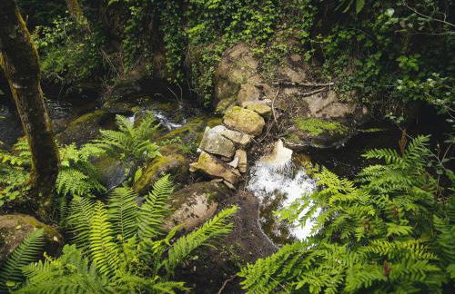 Casa do Abade - Country House - Foto 25