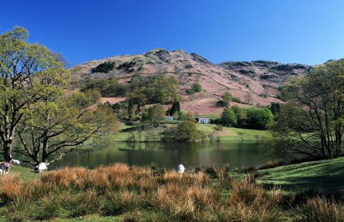 Woodlands Hotel & Pine Lodges - Foto 14