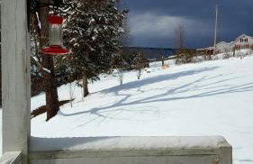 3BR Pet Friendly Cottage Mathias WV - Foto 38