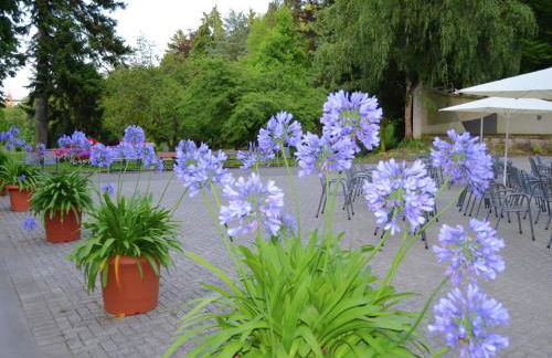 Wohnung mit Eigener Terrasse in Huddingen - Foto 48