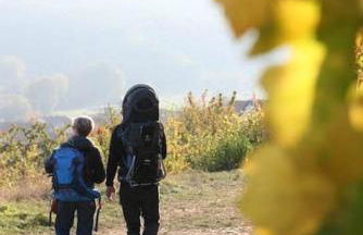 Logement "Le Kelsch" Vignoble proche de Strasbourg avec Sauna - Foto 47