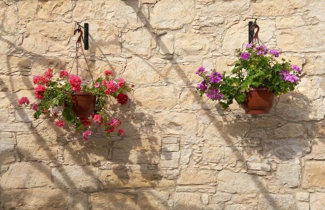 Arsorama Village Homes - Foto 23