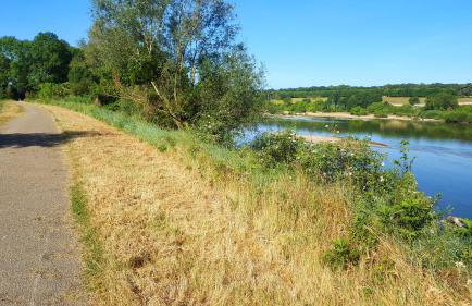 Gite entre Loire, châteaux et Sologne - Foto 29
