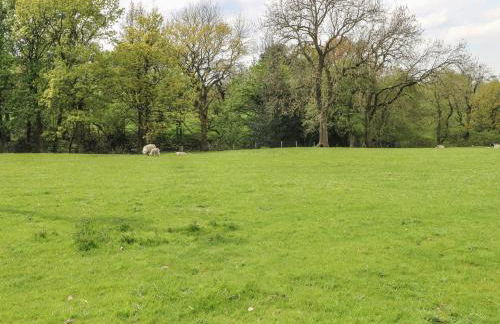 Gun End Cottage - Foto 25