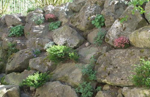 Müllerstube - Foto 27