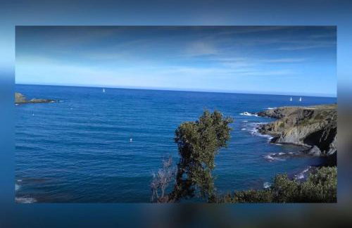 Vue mer, crique de Peyrefite, Cerbère-Banyuls. - Foto 47