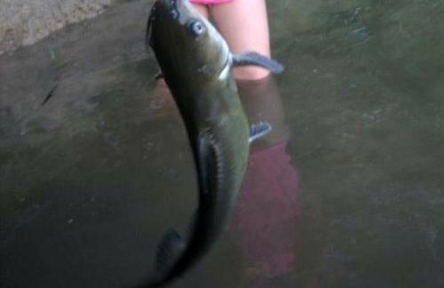 Cozy Riverside Cabin with Private Hot Tub in Rileyville, Virginia - Photo 23