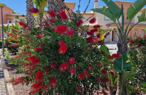 Deluxe 3 bedroom townhouse - Quinta da Atalaia - Foto 12