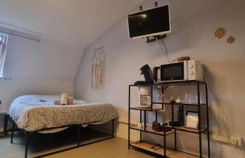 T1 rénové 29 m2 cosy confort ! - Foto 18