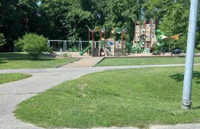 Starlight Serenity - Foto 3