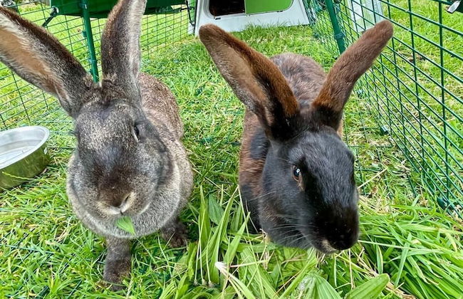 Château Côte de Nacre - Foto 65