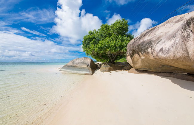 Dar and Douce - Photo 30