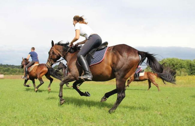 Villa Ovis in Peresiji - Foto 21