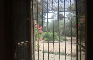 Finca SAlzinar - Foto 11