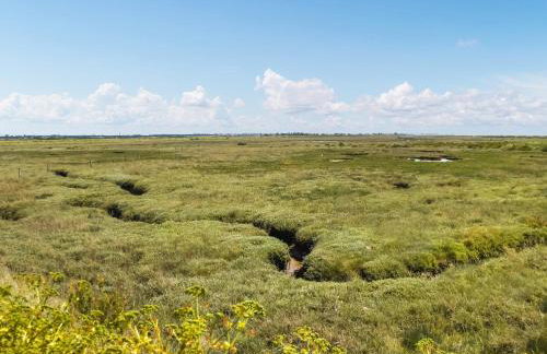 Humperdink - Foto 23