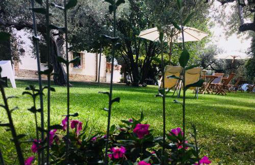 Az. Agr. Parco dei Buoi - Foto 12