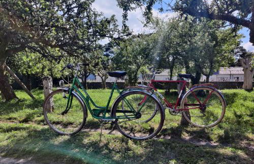 La casa de Angel y Olimpia - Photo 38