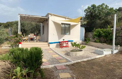 Olive Hill Private House - Foto 23