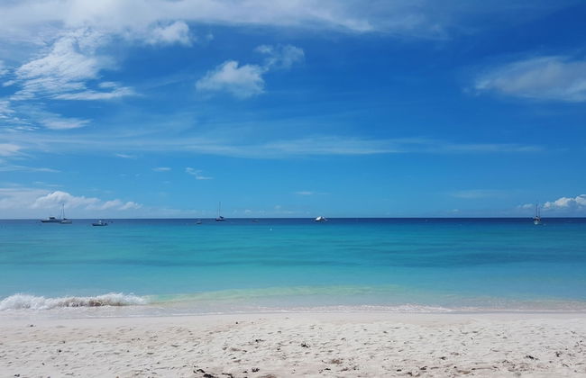 Carlisle Bay House - A Vacation Rental by Bougainvillea Barbados - Photo 11