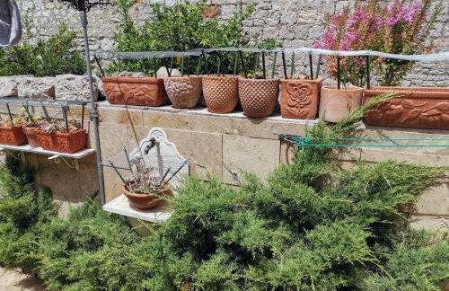 Apartment Alena with terrace and garden Center Jelsa - Photo 15