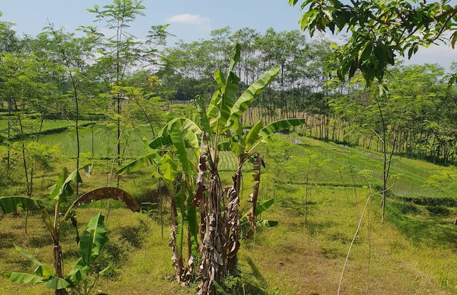 Villa Hati Indah - Foto 65