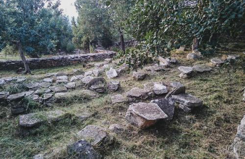 Lemon Tree Eco-Retreat - Foto 13