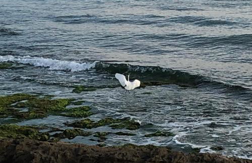 Le Muse casa vacanze - Foto 42