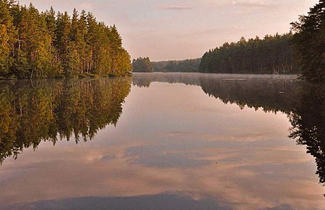 5 Star Holiday Home in Hjortkvarn-by Traum - Foto 23