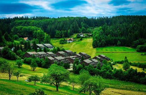 Natur tanken im Schwarzwald - Foto 6