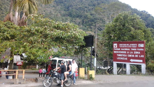 Parc National Tingo María
