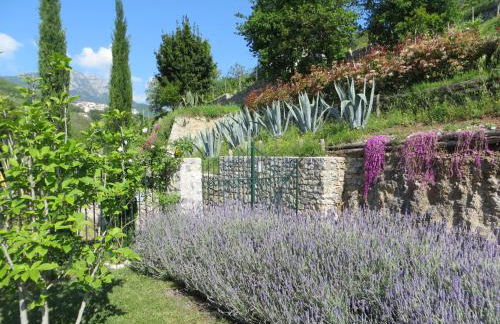 Ancient estate "Il Trignano" - Foto 7