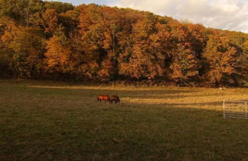 Garn Lodge - Foto 34