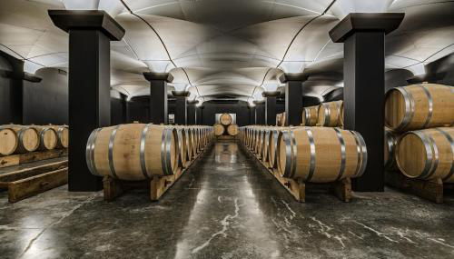 Luxury Castle Suite Panoramic Vineyard View - Foto 2