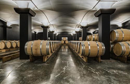 Luxury Castle Suite Panoramic Vineyard View - Foto 2