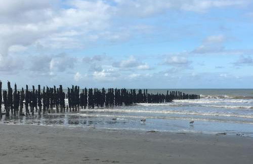 Les Bleuets - Foto 36