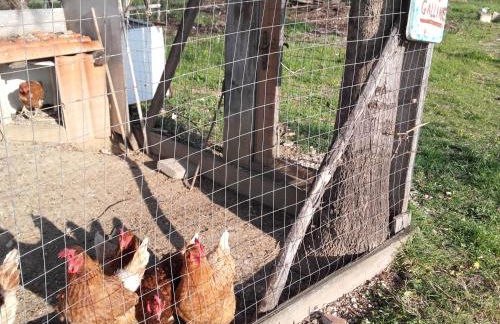 Pier Delle Vigne B&B - Foto 63