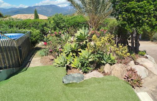 Villa les Palmiers pool spa view of Bavella - Foto 7